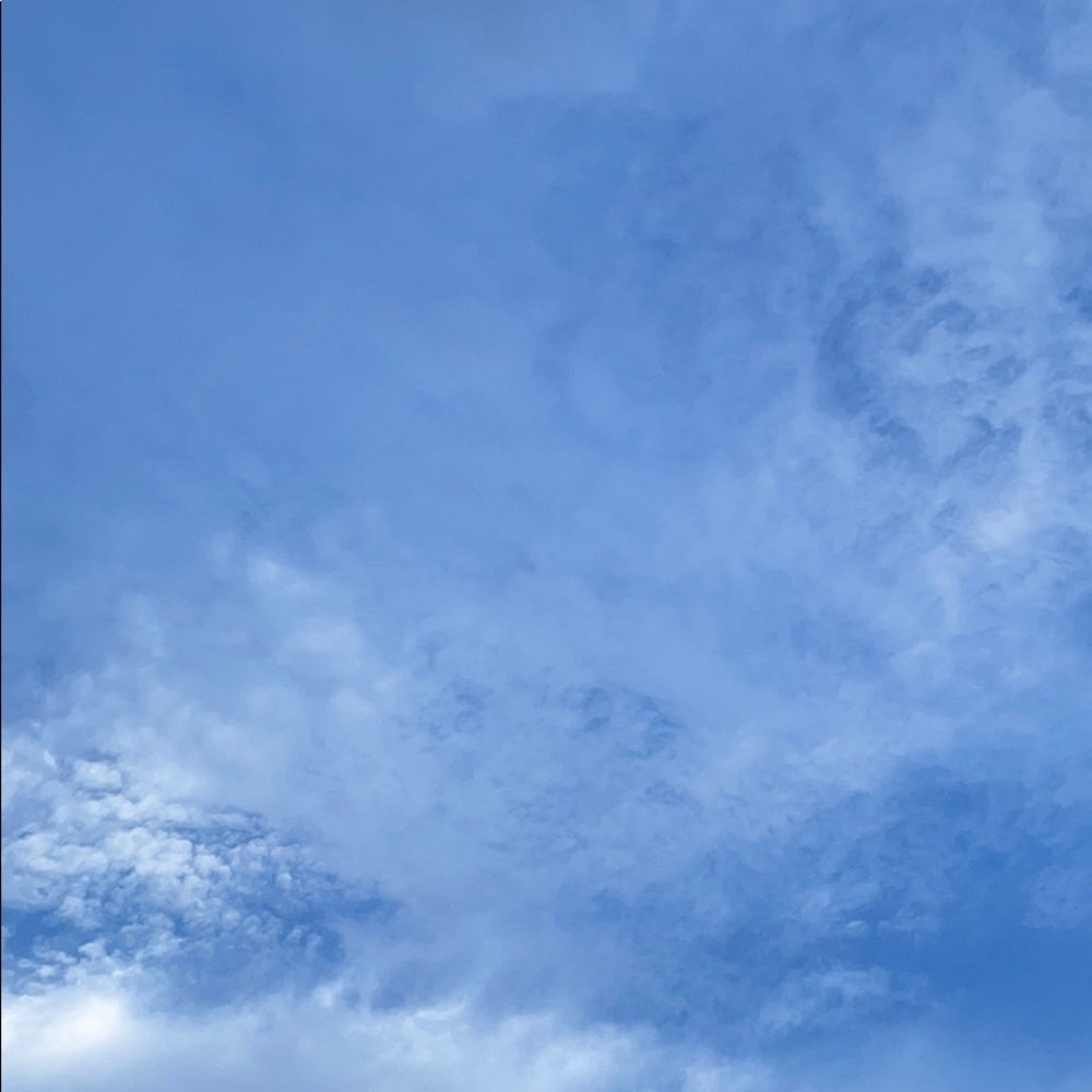 Meet your Posher, Jabluski